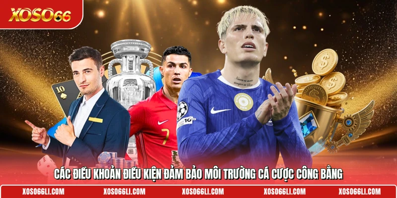 Các điều khoản điều kiện đảm bảo môi trường cá cược công bằng