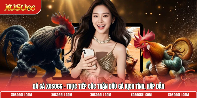Đá Gà Xoso66 - Trực Tiếp Các Trận Đấu Gà Kịch Tính, Hấp Dẫn