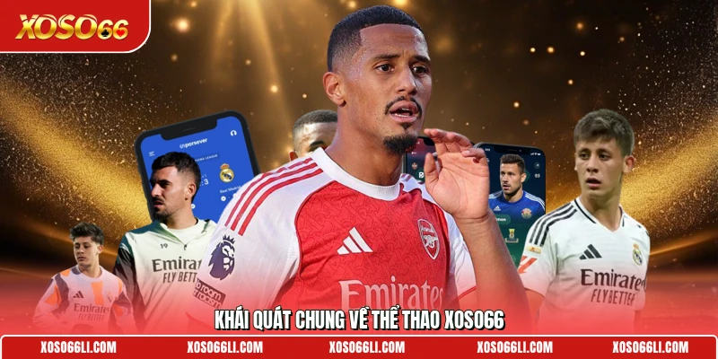 Khái quát chung về thể thao Xoso66