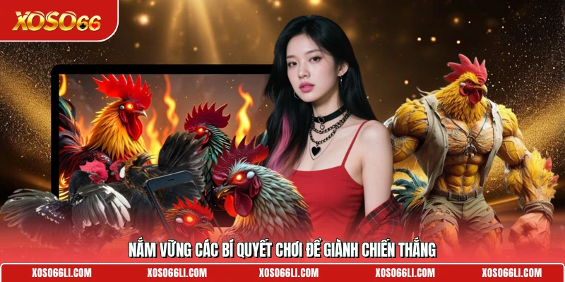 Nắm vững các bí quyết chơi để giành chiến thắng