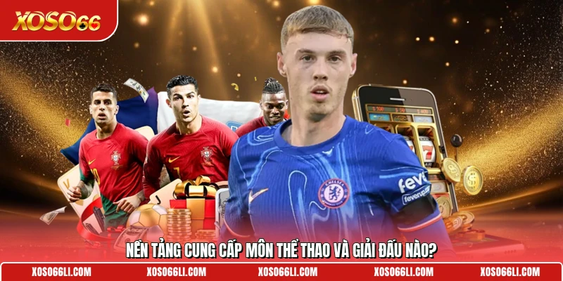 Nền tảng cung cấp môn thể thao và giải đấu nào?