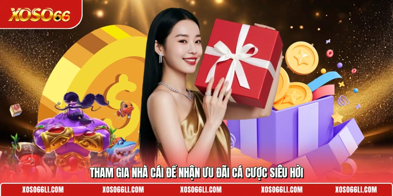 Tham gia nhà cái để nhận ưu đãi cá cược siêu hời